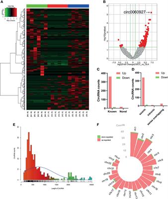 Hsa_circ_0060927 Is a Novel Tumor Biomarker by Sponging miR-195-5p in the Malignant Transformation of OLK to OSCC